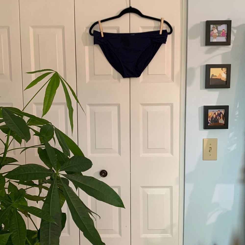 Panache Bikini Bottoms